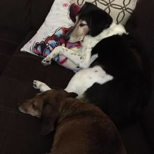 Meet your Posher, Zackary